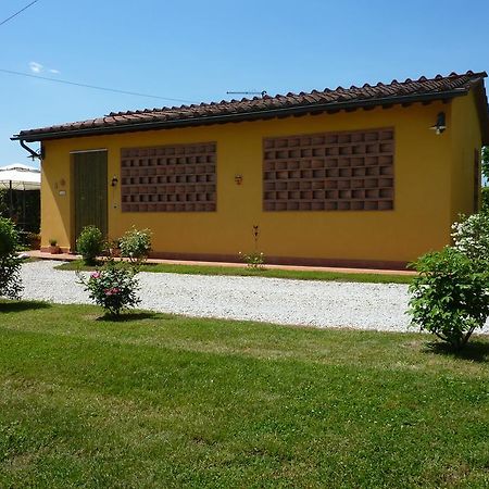 Il Nido Villa Lucca Bagian luar foto