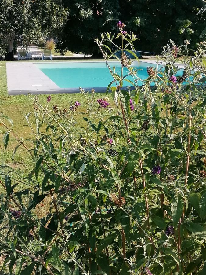 Il Nido Villa Lucca Bagian luar foto