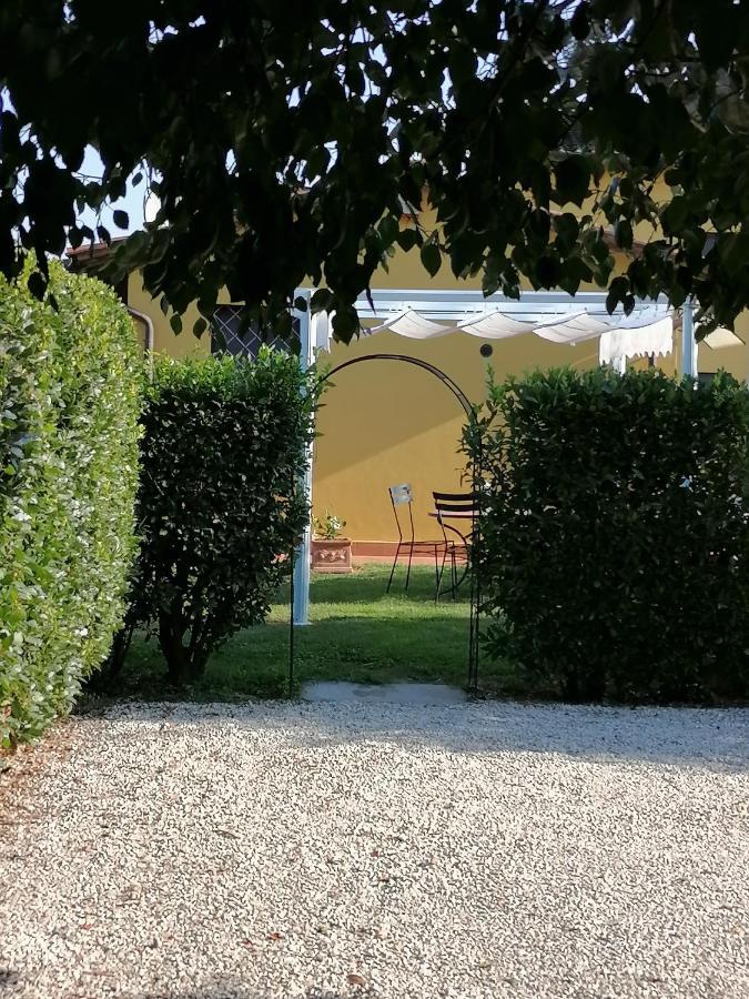 Il Nido Villa Lucca Bagian luar foto