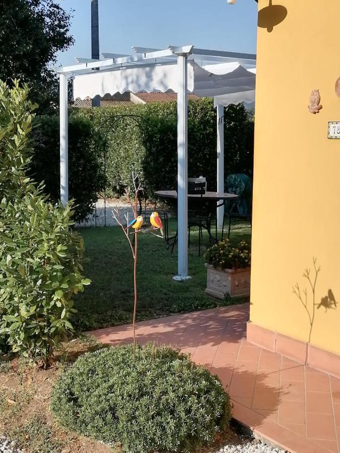 Il Nido Villa Lucca Bagian luar foto