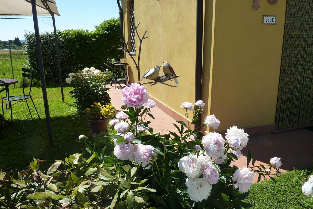 Il Nido Villa Lucca Ruang foto