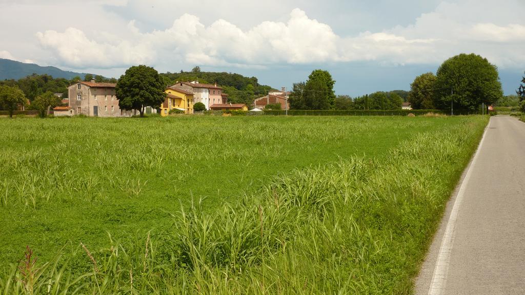 Il Nido Villa Lucca Bagian luar foto