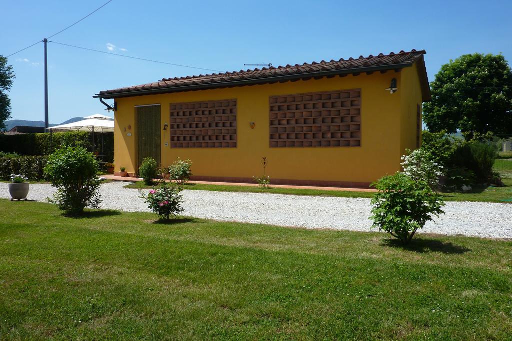 Il Nido Villa Lucca Bagian luar foto