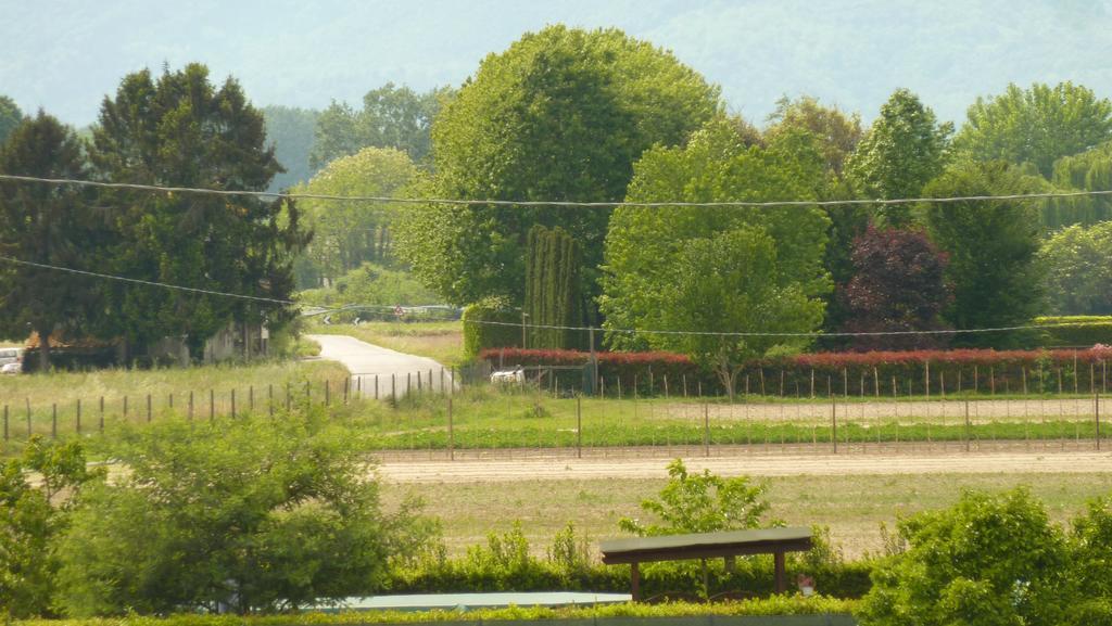 Il Nido Villa Lucca Bagian luar foto