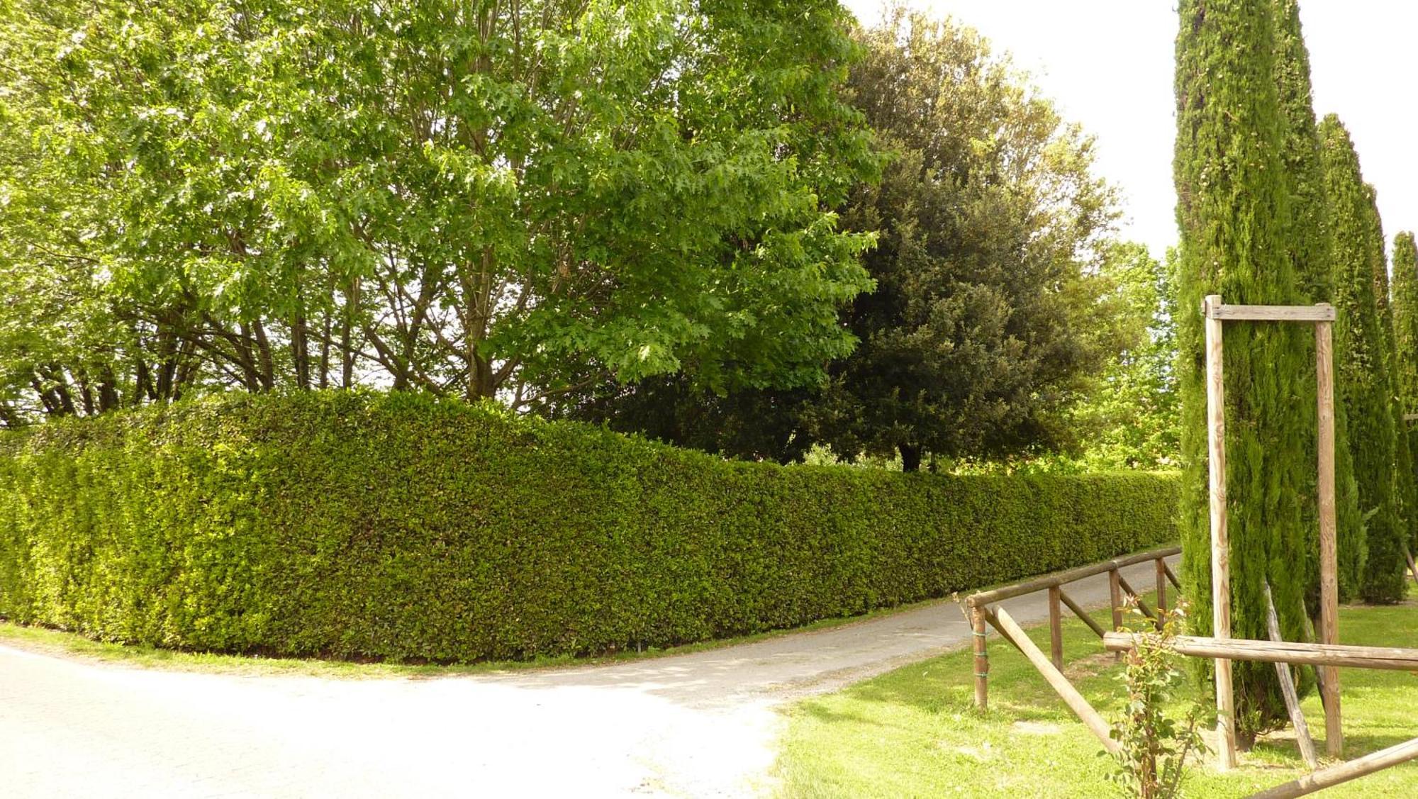 Il Nido Villa Lucca Bagian luar foto