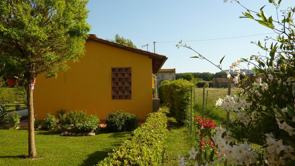 Il Nido Villa Lucca Bagian luar foto
